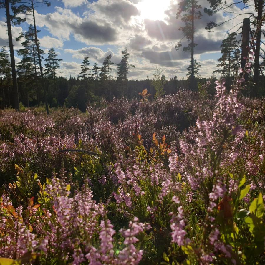 Cabin Near Lake And Beautiful Nature Reserve. Bodafors Esterno foto