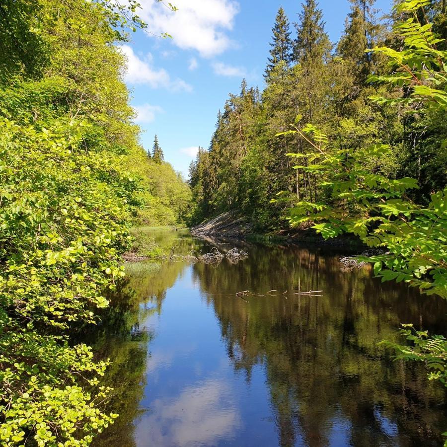 Cabin Near Lake And Beautiful Nature Reserve. Bodafors Esterno foto