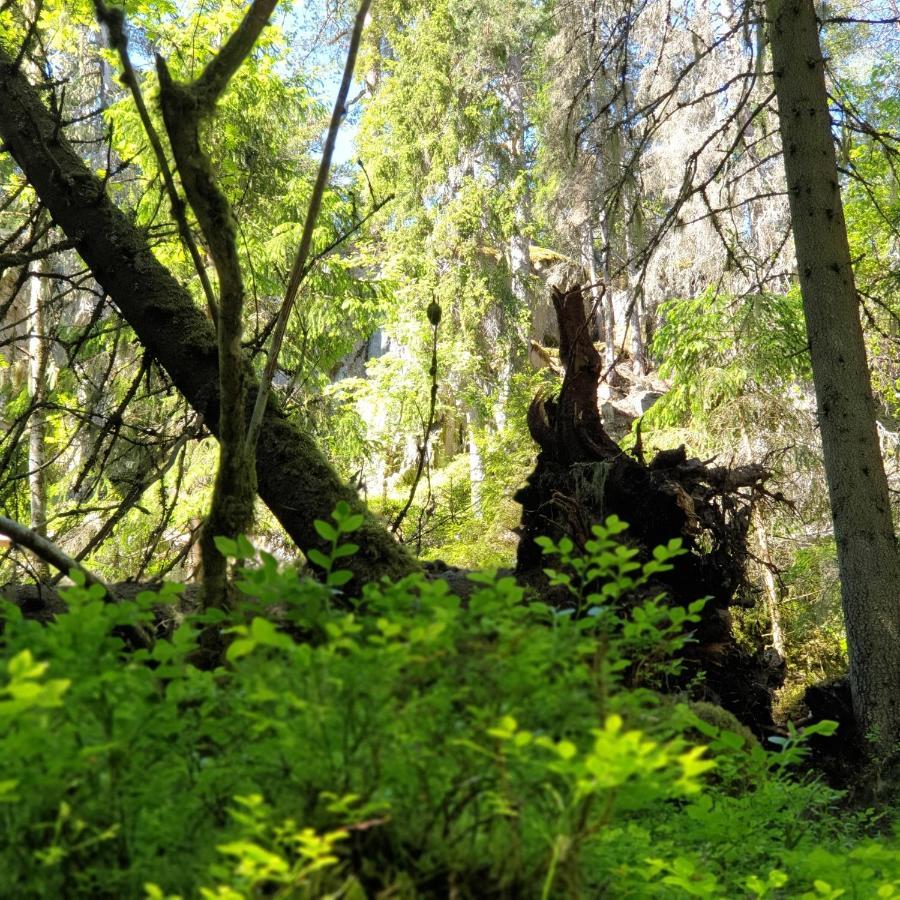 Cabin Near Lake And Beautiful Nature Reserve. Bodafors Esterno foto
